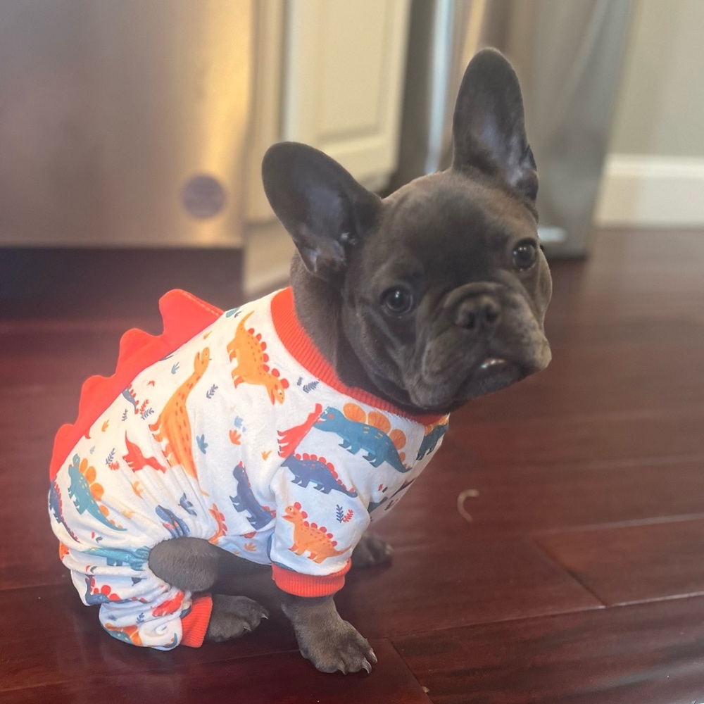 Meet your Posher, Tricia